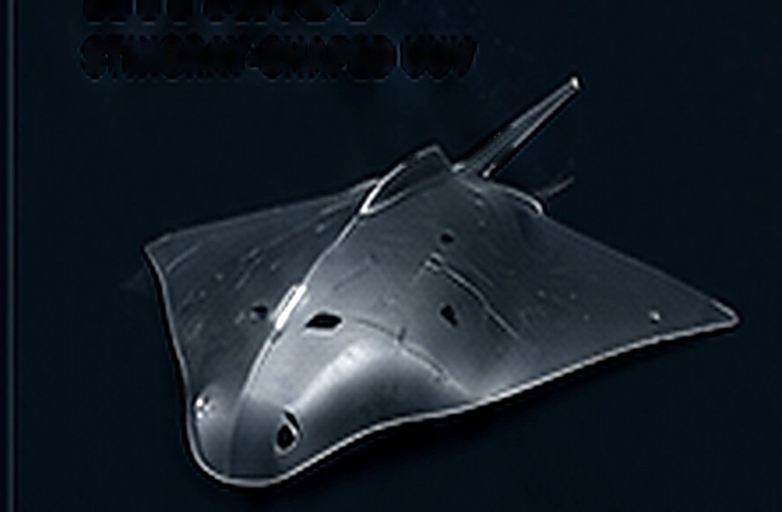 Hypanus stingray-form UUV concept