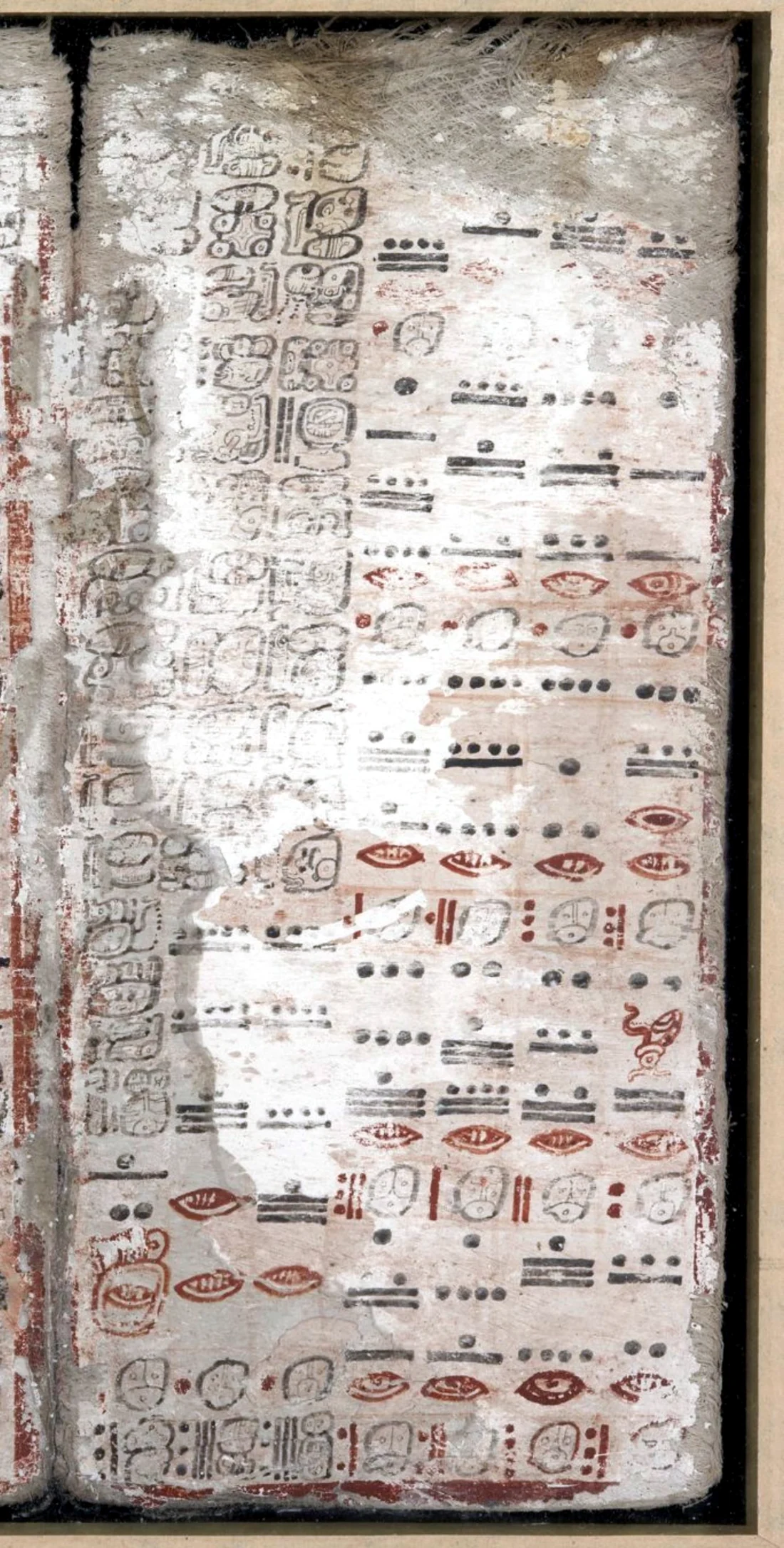 Dresden Codex page 24