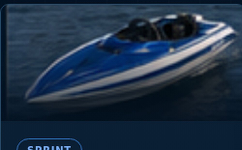 VM-100 Arrow Sprint
